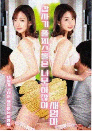 好搭档 律政韩剧海报